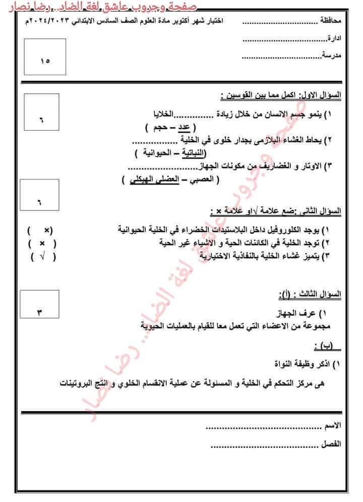 تحميل امتحانات شهر اكتوبر الصف السادس الابتدائي