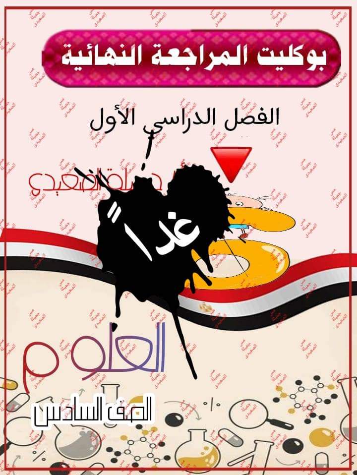 بوكليت مراجعة العلوم الصف السادس الابتدائي الترم الاول بالاجابات