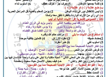 امتحان اللغة العربية المتوقع للصف السادس الابتدائي الترم الاول ٢٠٢٤ والاجابات