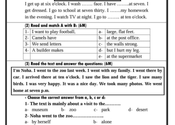 امتحانات دمج لغة إنجليزية للمرحلة الابتدائية والإعدادية الترم الاول ٢٠٢٤
