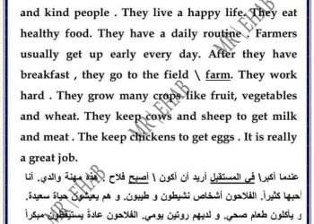 ملزمة شرح سؤال البرجراف والايميل للصف الثاني الإعدادي