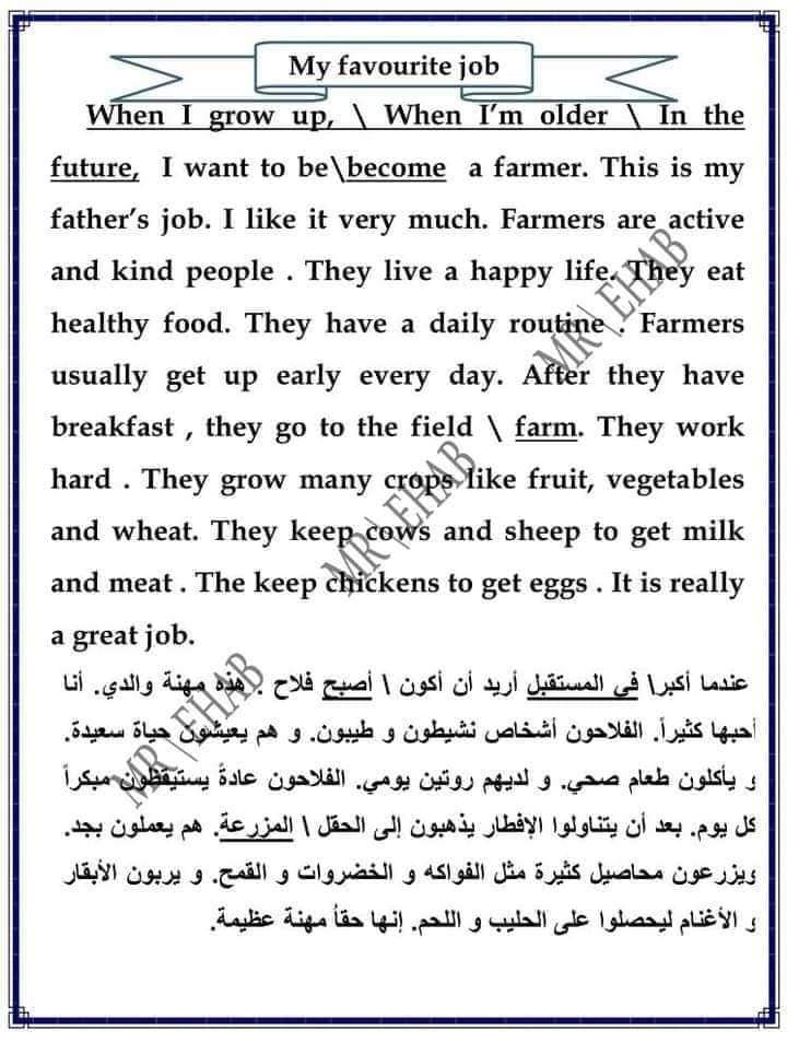 ملزمة شرح سؤال البرجراف والايميل للصف الثاني الإعدادي