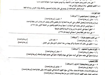 اجابة امتحان اللغة العربية الصف الثالث الاعدادي محافظة البحيرة الترم الاول 2024