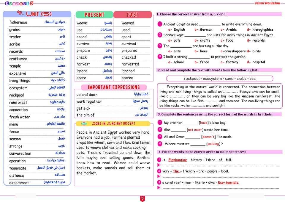 مذكرات مراجعة لغة إنجليزية بدون حقوق للمرحلة الابتدائية الترم الاول 2024 مذكرات مراجعة لغة إنجليزية بدون حقوق للمرحلة الابتدائية الترم الاول 2024