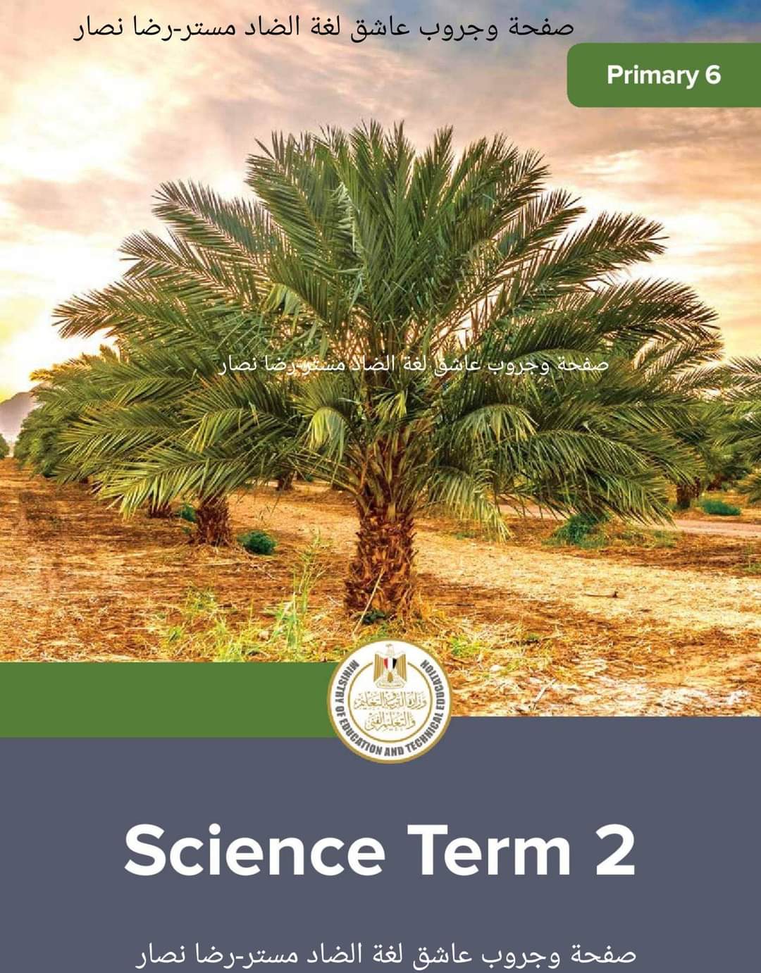 كتاب الوزارة في الساينس الصف السادس الابتدائي لغات الترم الثاني كتاب الوزارة في الساينس الصف السادس الابتدائي لغات الترم الثاني