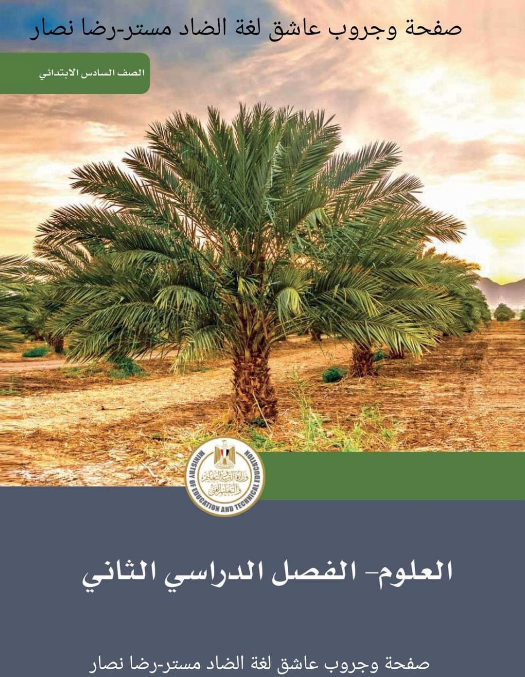 كتاب الوزارة في العلوم الصف السادس الابتدائي لغات الترم الثاني