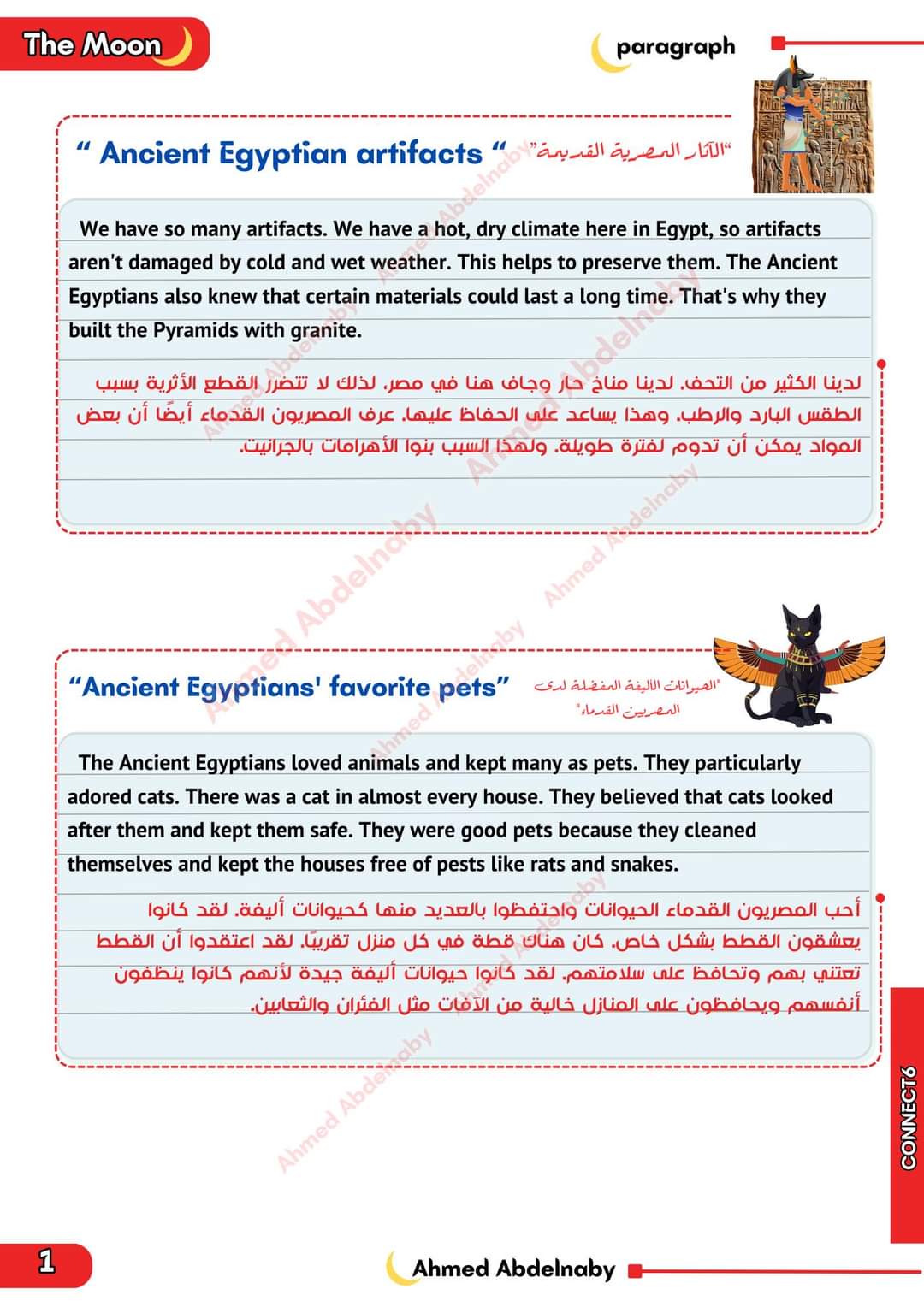 تجميع براجرافات الصف السادس الابتدائي الترم الثاني مترجمة