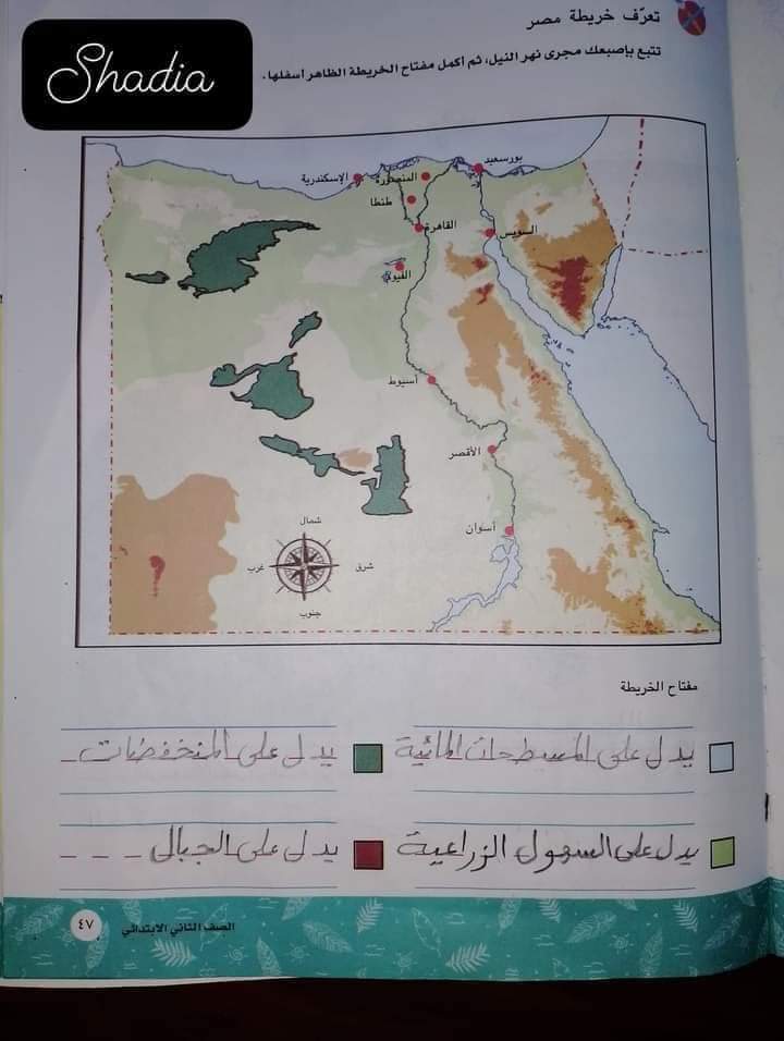 حل كتاب اكتشف المعدل الصف الثاني الابتدائي الترم الثاني