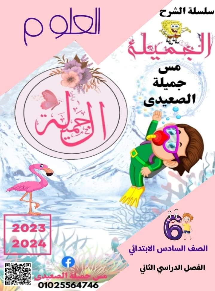 مراجعة مقرر فبراير في العلوم الصف السادس الابتدائي مس جميلة الصعيدي مراجعة مقرر فبراير في العلوم الصف السادس الابتدائي مس جميلة الصعيدي - تحميل مراجعات العلوم