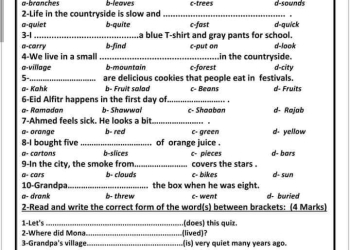 نماذج امتحانات اللغة الإنجليزية لمقررات فبراير من الصف الرابع الابتدائي إلى الصف الثانى الاعدادى