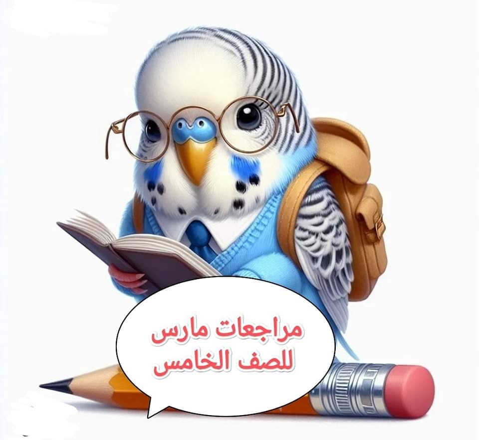 تجميع مراجعات شهر مارس لمواد الصف الخامس الابتدائي