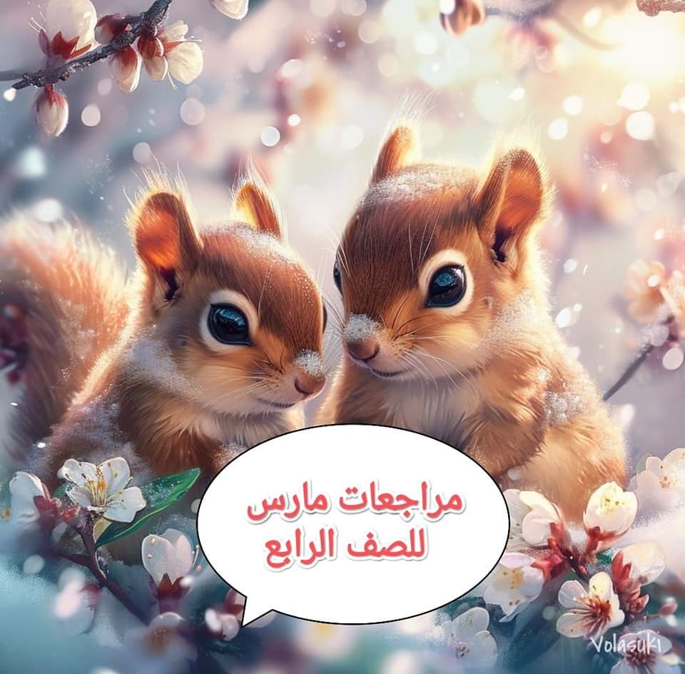 تجميع مراجعات شهر مارس لمواد الصف الرابع الابتدائي