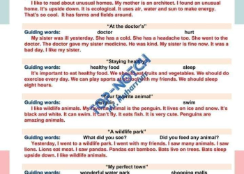 اهم براجرافات المرحلة الابتدائية الصف الرابع والخامس والسادس الابتدائي الترم الثاني