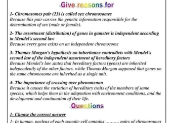 ملزمة المراجعة النهائية بيولوجي الصف الأول الثانوي لغات الترم الثاني