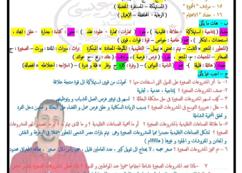 توقعات عبد الحميد عيسى في اللغة العربية للشهادة الاعدادية كل المحافظات الترم الثاني بالاجابات