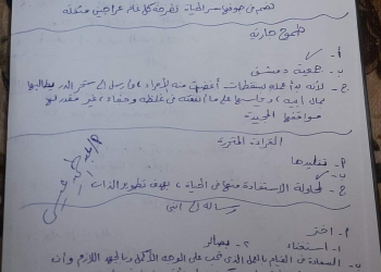 إجابة امتحان اللغة العربية محافظة القليوبية تالتة اعدادي الترم الثاني ٢٠٢٤