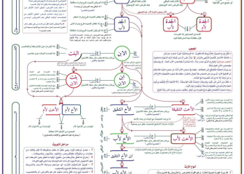 ملف كامل لشرح جدول المواريث ومستحقيها وتوزيعها