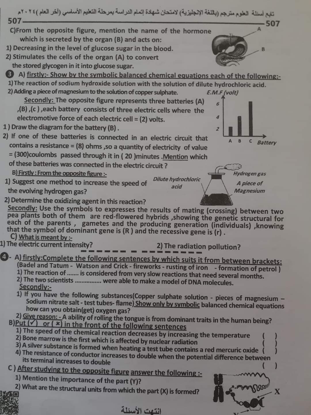 إجابة امتحان الساينس محافظة القليوبية تالتة اعدادي الترم الثاني ٢٠٢٤ إجابة امتحان الساينس محافظة القليوبية تالتة اعدادي الترم الثاني ٢٠٢٤