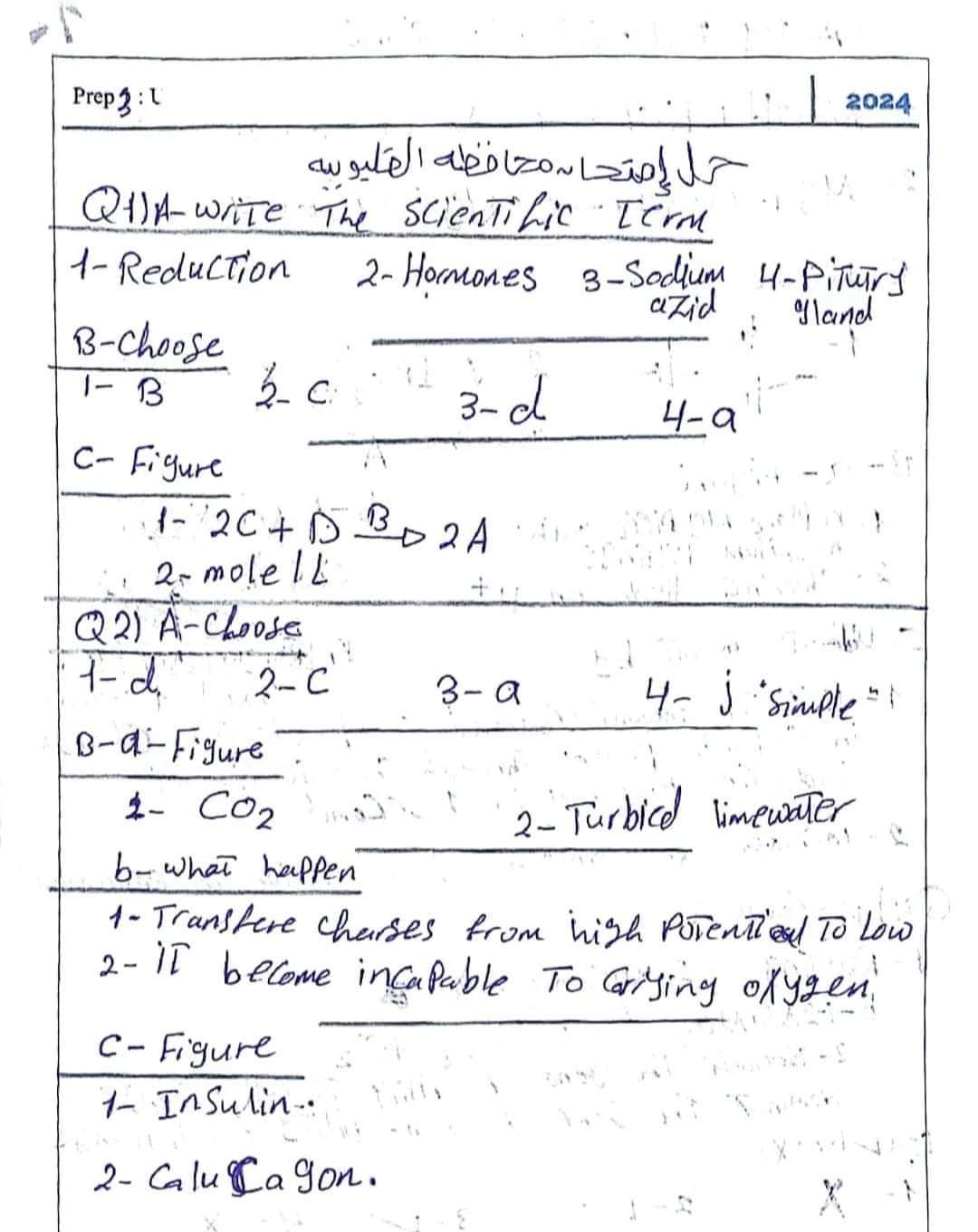 إجابة امتحان الساينس محافظة القليوبية تالتة اعدادي الترم الثاني ٢٠٢٤ إجابة امتحان الساينس محافظة القليوبية تالتة اعدادي الترم الثاني ٢٠٢٤
