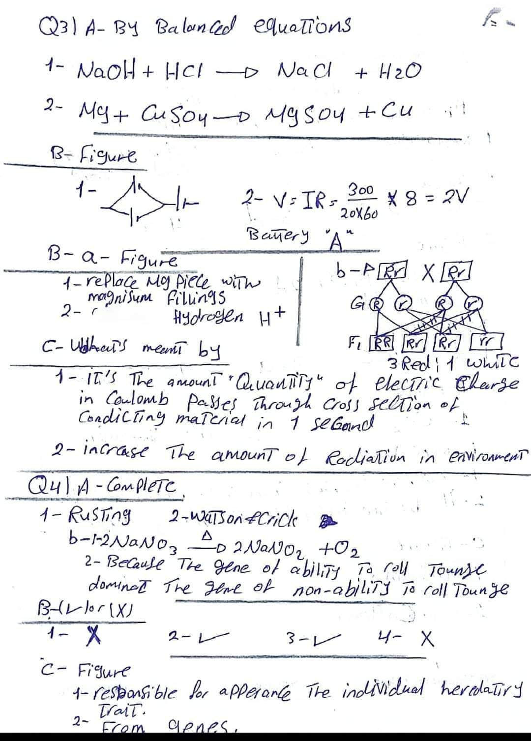 إجابة امتحان الساينس محافظة القليوبية تالتة اعدادي الترم الثاني ٢٠٢٤ إجابة امتحان الساينس محافظة القليوبية تالتة اعدادي الترم الثاني ٢٠٢٤
