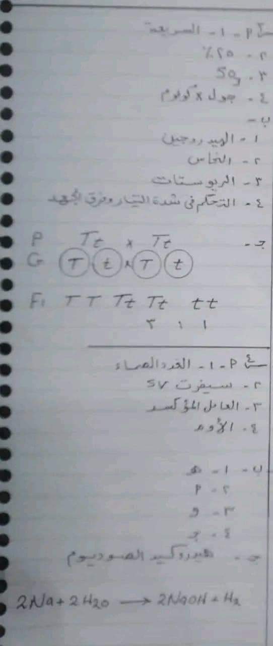 إجابة امتحان العلوم محافظة القاهرة تالتة اعدادي الترم الثاني ٢٠٢٤ إجابة امتحان العلوم محافظة القاهرة تالتة اعدادي الترم الثاني ٢٠٢٤
