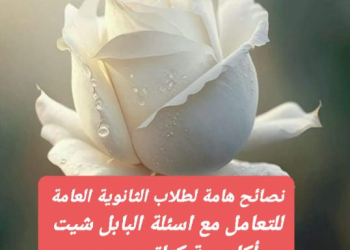 طريقة التعامل مع أسئلة البابل شيت في امتحانات الثانوية العامة