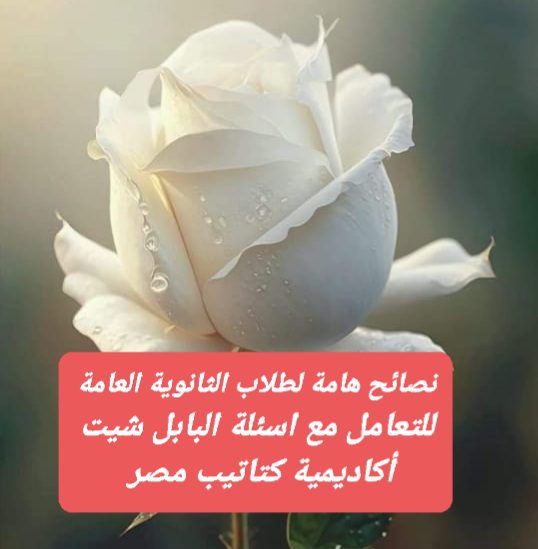 طريقة التعامل مع أسئلة البابل شيت في امتحانات الثانوية العامة