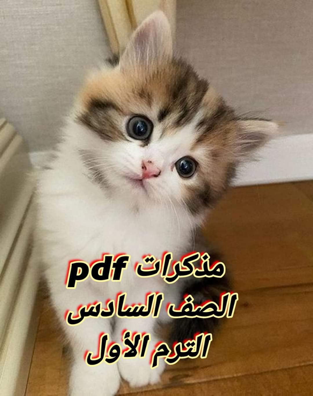 تحميل مذكرات شرح وتدريبات لمواد الصف السادس الابتدائي الترم الاول 2025 تحميل مذكرات شرح وتدريبات لمواد الصف السادس الابتدائي الترم الاول 2025