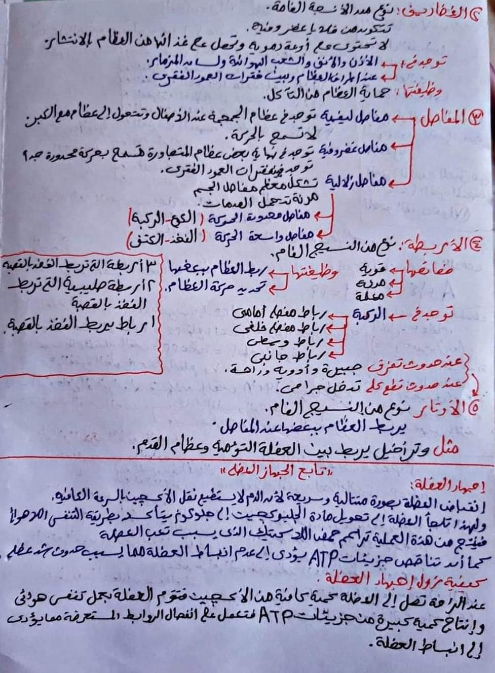25 سؤال متوقع في امتحان الأحياء للثانوية العامة 2024 25 سؤال متوقع في امتحان الأحياء للثانوية العامة 2024