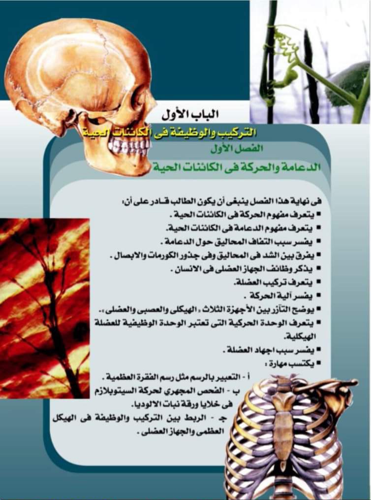 تحميل كتاب الاحياء الجديد للصف الثالث الثانوي الترم الاول 2025 تحميل كتاب الاحياء الجديد للصف الثالث الثانوي الترم الاول 2025 - تحميل كتاب الاحياء