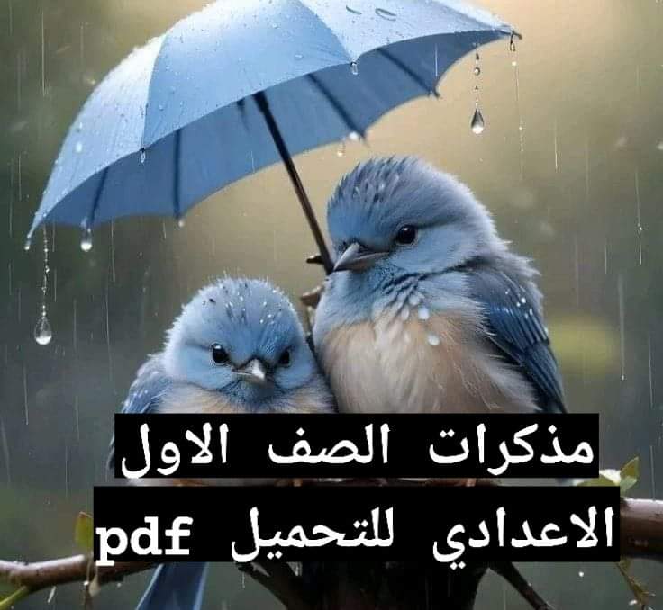 ملازم شرح وتدريبات المواد للصف الاول الاعدادي نظام جديد الفصل الدراسي الاول ملازم شرح وتدريبات المواد للصف الاول الاعدادي نظام جديد الفصل الدراسي الاول