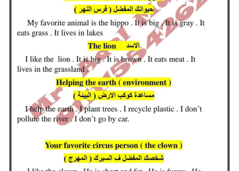 تجميع براجرافات الصف الثالث الابتدائي الفصل الدراسي الاول 2025