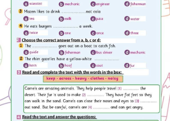 امتحان لغة إنجليزية متوقعة للصف الرابع الابتدائي الترم الاول 2025
