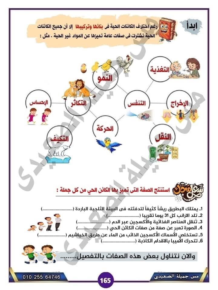 شرح درس الصفات العامة للكائنات الحية علوم الصف الاول الاعدادي الترم الاول 2025 شرح درس الصفات العامة للكائنات الحية علوم الصف الاول الاعدادي الترم الاول 2025