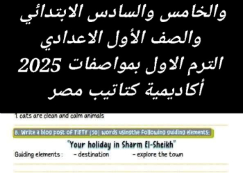 نماذج امتحانات لغة إنجليزية للصفوف الرابع والخامس والسادس الابتدائي والصف الأول الاعدادي الترم الاول بمواصفات 2025 - تحميل امتحانات اللغة الإنجليزية