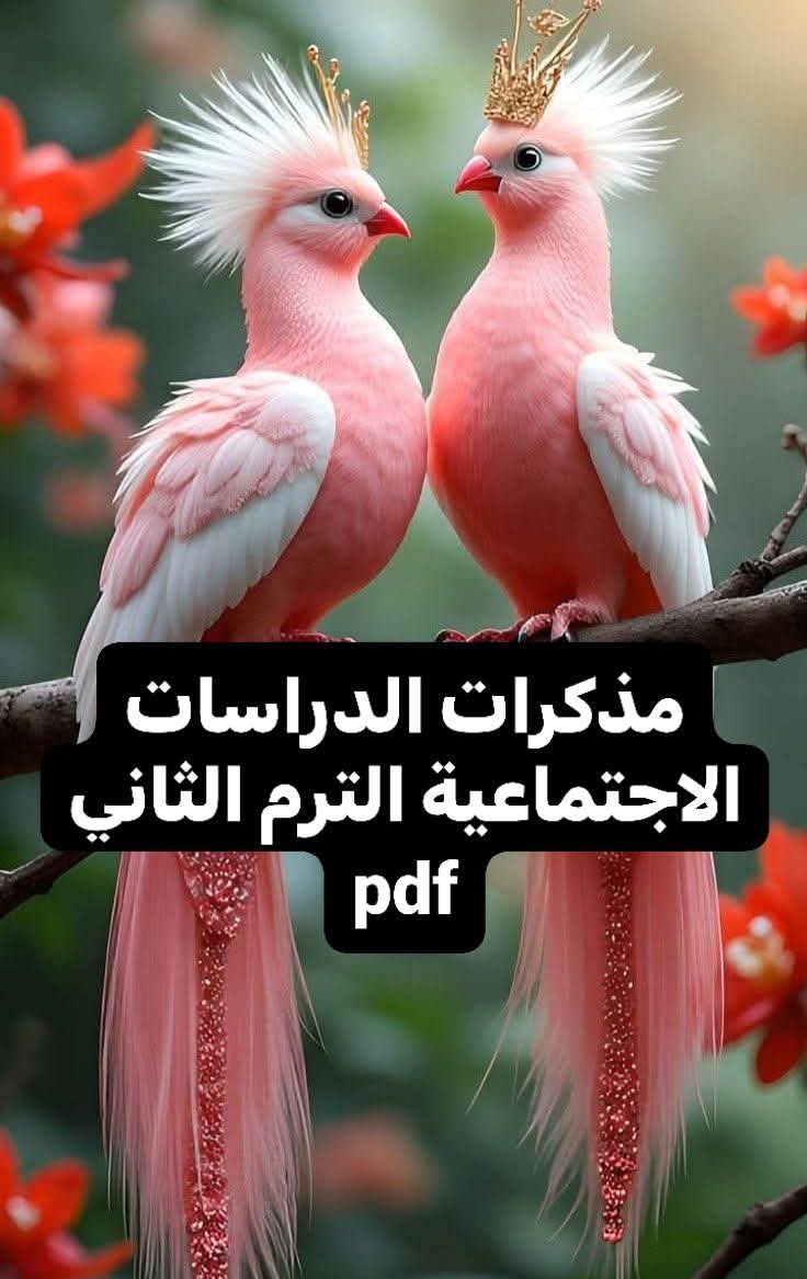 تحميل افضل مذكرات الدراسات الاجتماعية لصفوف المرحلة الابتدائية والإعدادية الفصل الدراسي الثاني تحميل افضل مذكرات الدراسات الاجتماعية لصفوف المرحلة الابتدائية والإعدادية الفصل الدراسي الثاني