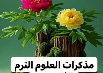 تحميل افضل مذكرات العلوم والساينس لصفوف المرحلة الابتدائية والإعدادية الفصل الدراسي الثاني