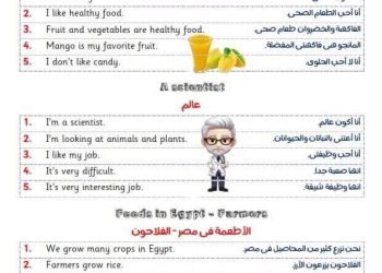 ملزمة براجرافات الصف الرابع الابتدائي الفصل الدراسي الاول