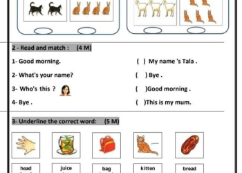 نماذج تقييمات نهائية لمواد الصف الاول الابتدائي الترم الاول