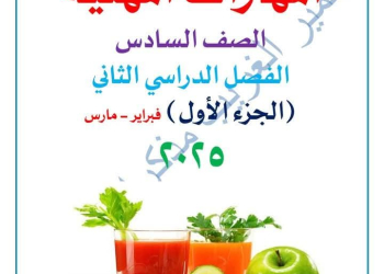 ملزمة مراجعة المهارات المهنية للصف السادس الابتدائي الترم الثاني