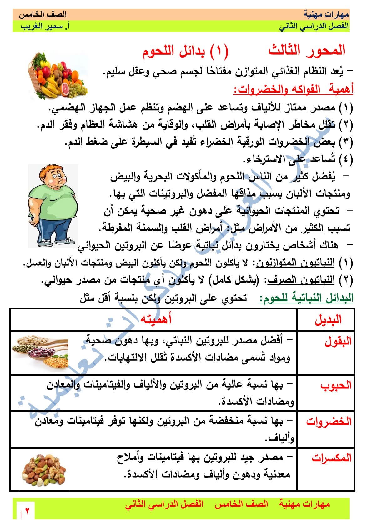 ملزمة المهارات المهنية الصف الخامس الابتدائي الترم الثاني 2025 - تحميل مذكرات خامسة ابتدائي