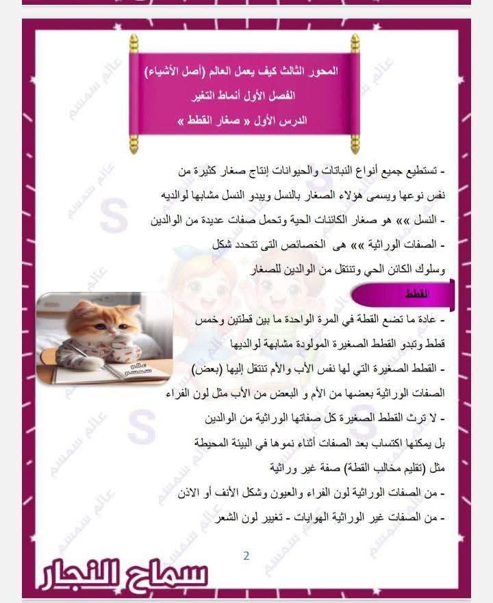 اقوى ملزمة شرح وتدريبات اكتشف الصف الثالث الابتدائي الترم الثاني