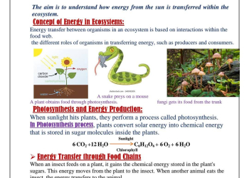 مذكرة مراجعة Integrated sciences لغات للصف الاول الثانوي الترم الثاني 2025