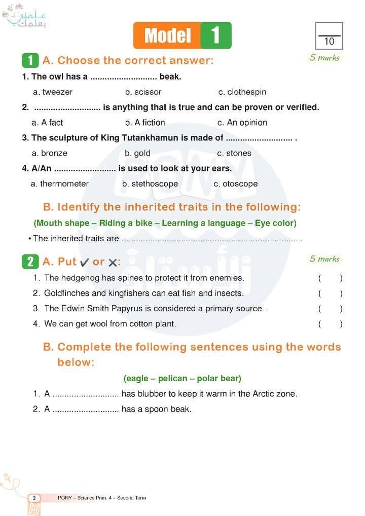 مراجعة وامتحانات شهر فبراير ديسكفري discovery الصف الثالث الابتدائي بالاجابات