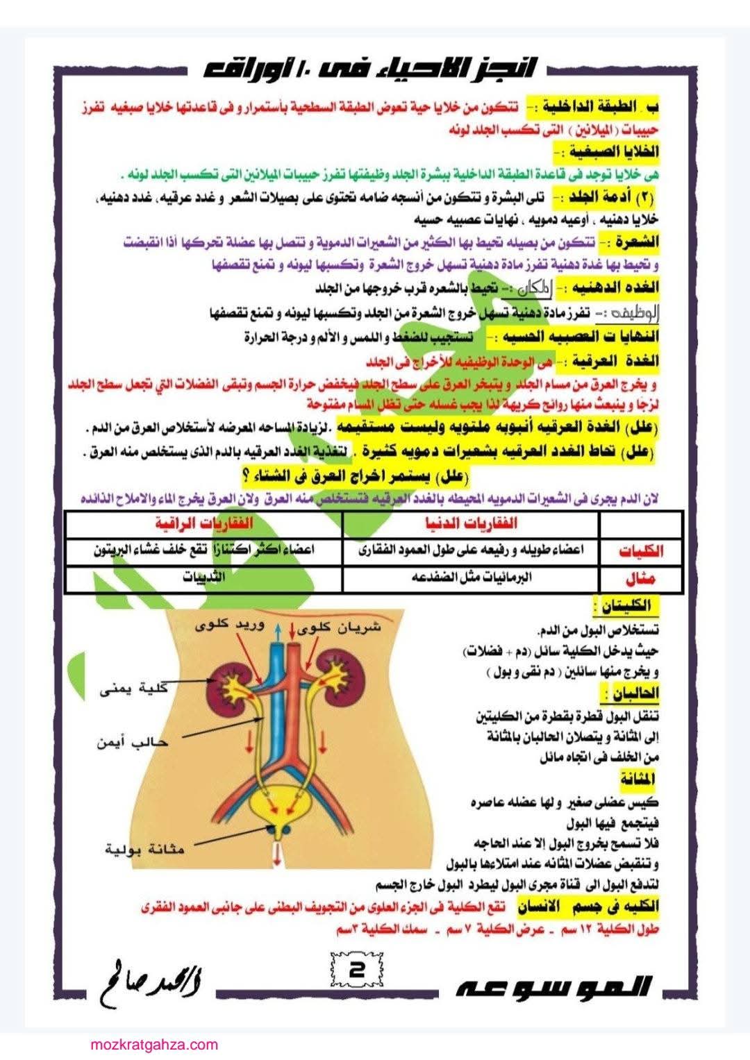 مذكرة مراجعة وتوقعات امتحان الاحياء للصف الثاني الثانوي الترم الثاني مذكرة مراجعة وتوقعات امتحان الاحياء للصف الثاني الثانوي الترم الثاني