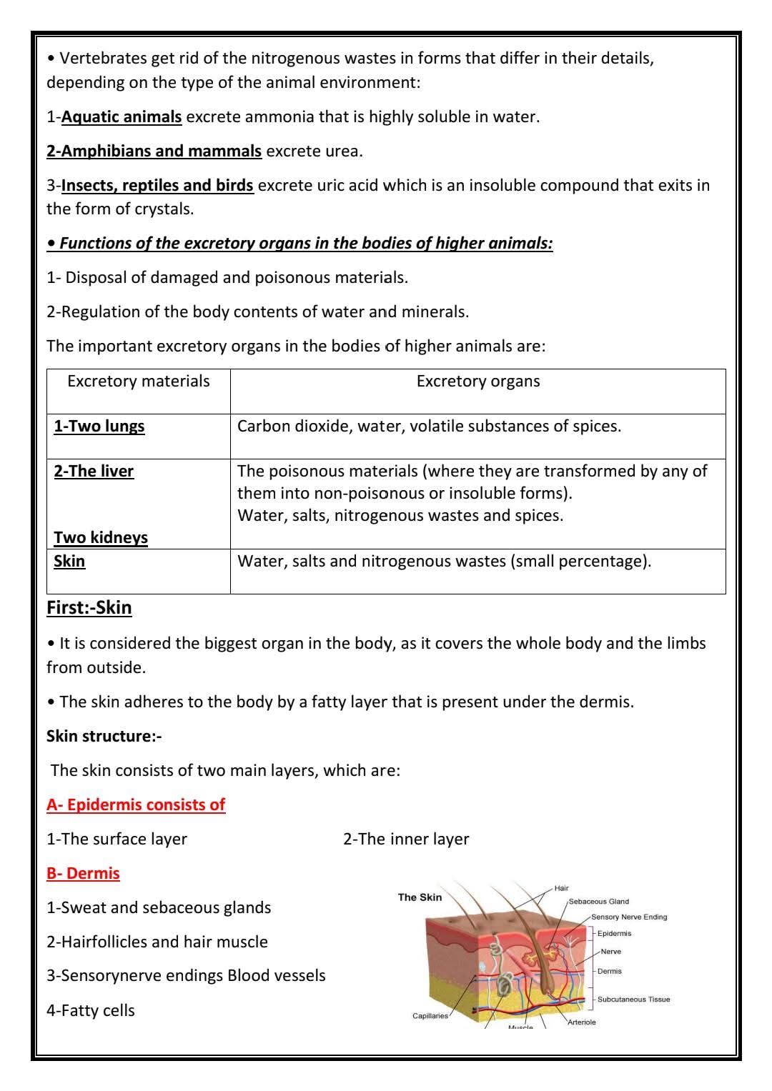 مذكرة مراجعة وتوقعات امتحان البيولوجي للصف الثاني الثانوي لغات الترم الثاني مذكرة مراجعة وتوقعات امتحان البيولوجي للصف الثاني الثانوي لغات الترم الثاني