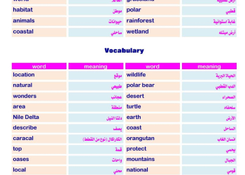 مذكرة مراجعة وتوقعات اسئلة امتحان اللغة الإنجليزية للصف الثالث الإعدادي الترم الثاني