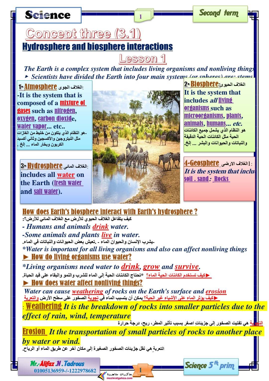 مذكرة مراجعة Science العلوم لغات للصف الخامس الابتدائي الفصل الدراسي الثاني