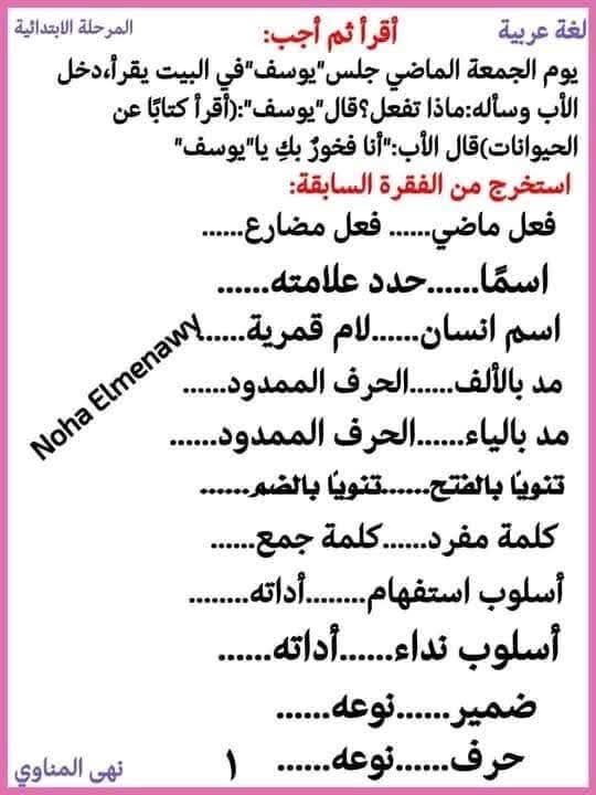 مذكرات الأساليب والتراكيب المنهج الجديد للصفوف الأول والثاني والثالث الابتدائي