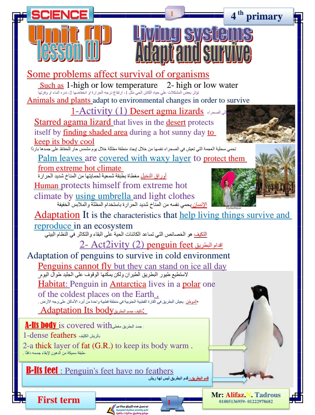 اهم و أحدث مذكرة Science للصف الرابع الابتدائي الترم الأول اهم و أحدث مذكرة Science للصف الرابع الابتدائي الترم الأول